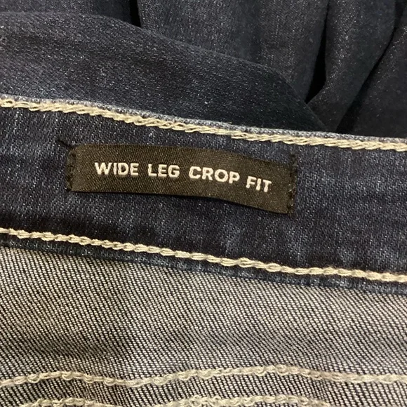 Lucky & Blessed Western Chic Embroidered Tea Stain Jeans size 18 Boho Western - Picture 8 of 16